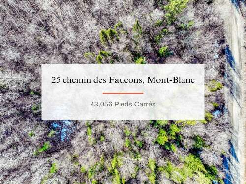 25 Ch. des Faucons, Mont-Blanc